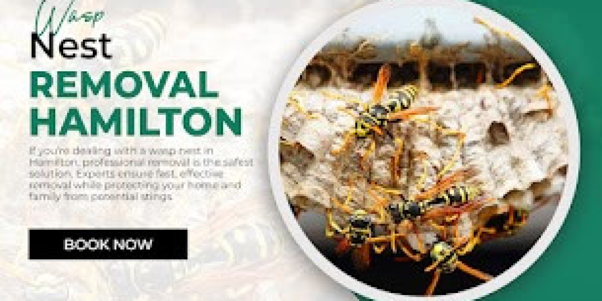 Effective Pest Control in Hamilton Mountain – Solutions by Pest Patrol GTA