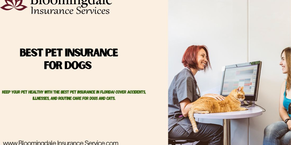 Best Pet Insurance for Dogs by Bloomingdale Insurance Services
