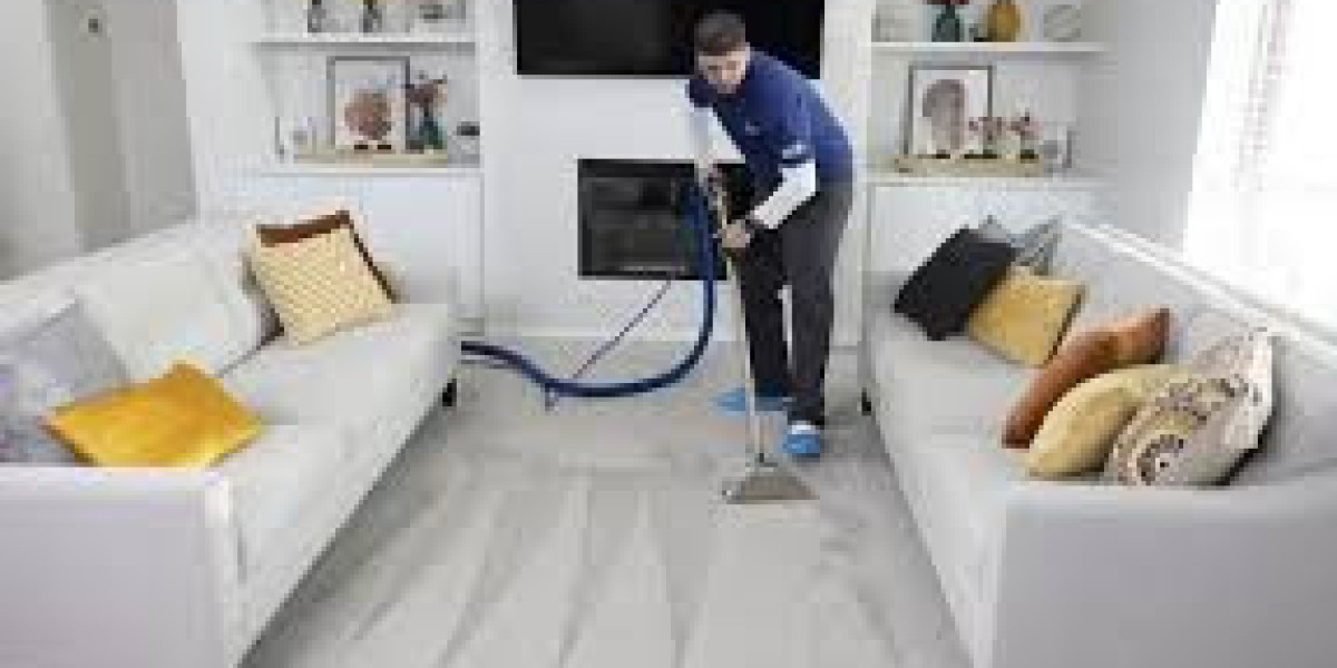 Upholstery Cleaning Naples: Expert Services You Can Trust