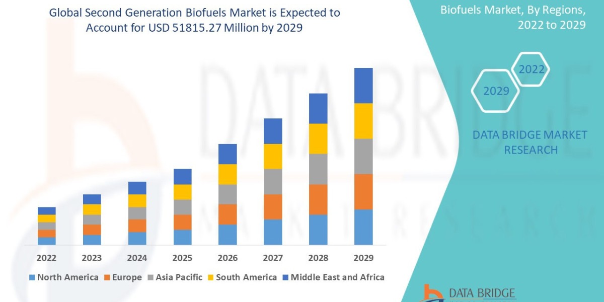 Second Generation Biofuels Market Overview, Growth Analysis, Trends and Forecast By 2029