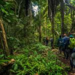 Discover the Wonders of Peru Jungle Tours - Tumblrblog